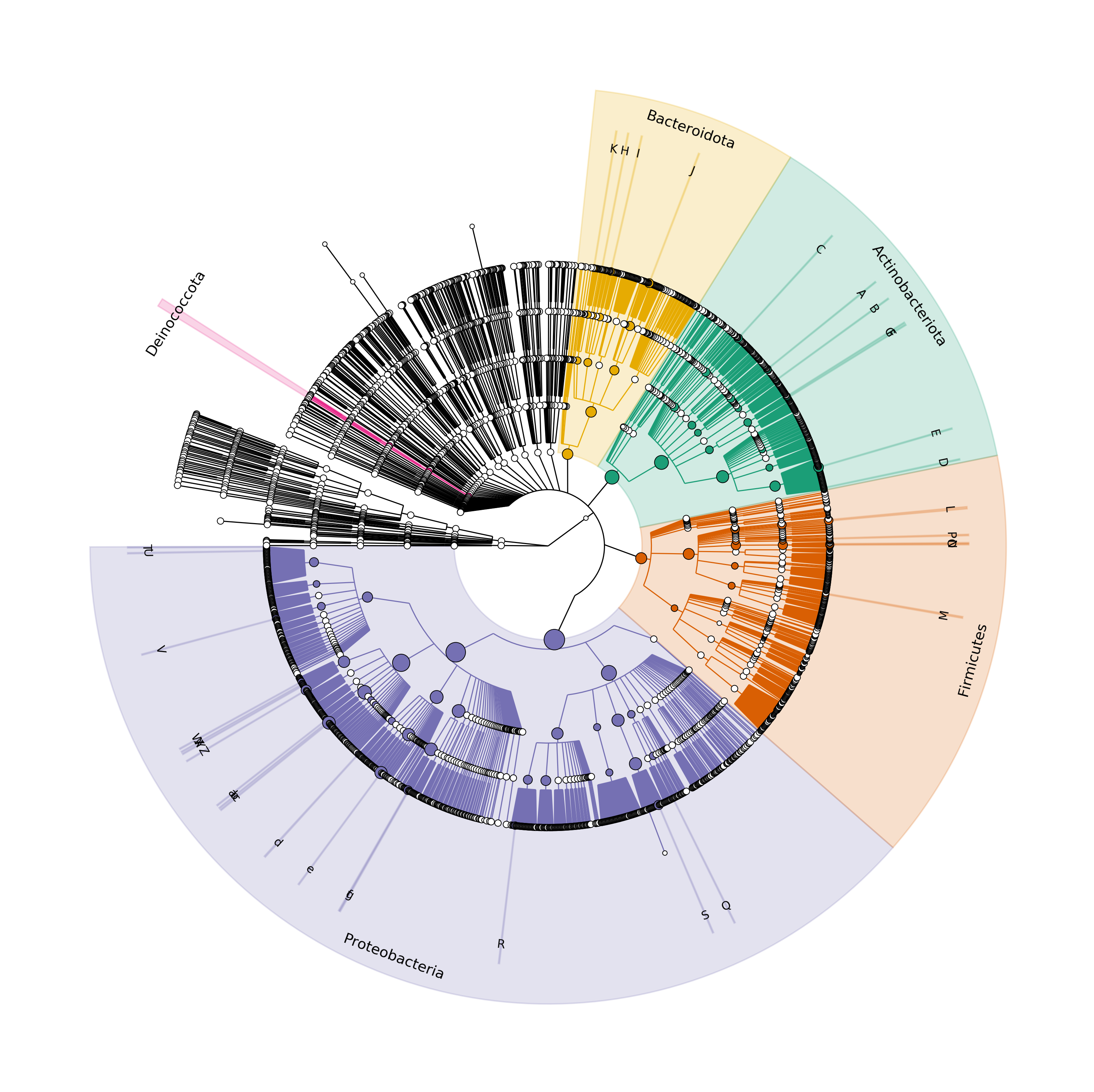 Dendogram of the taxonomic classification obtained with the silva database of the 18 samples