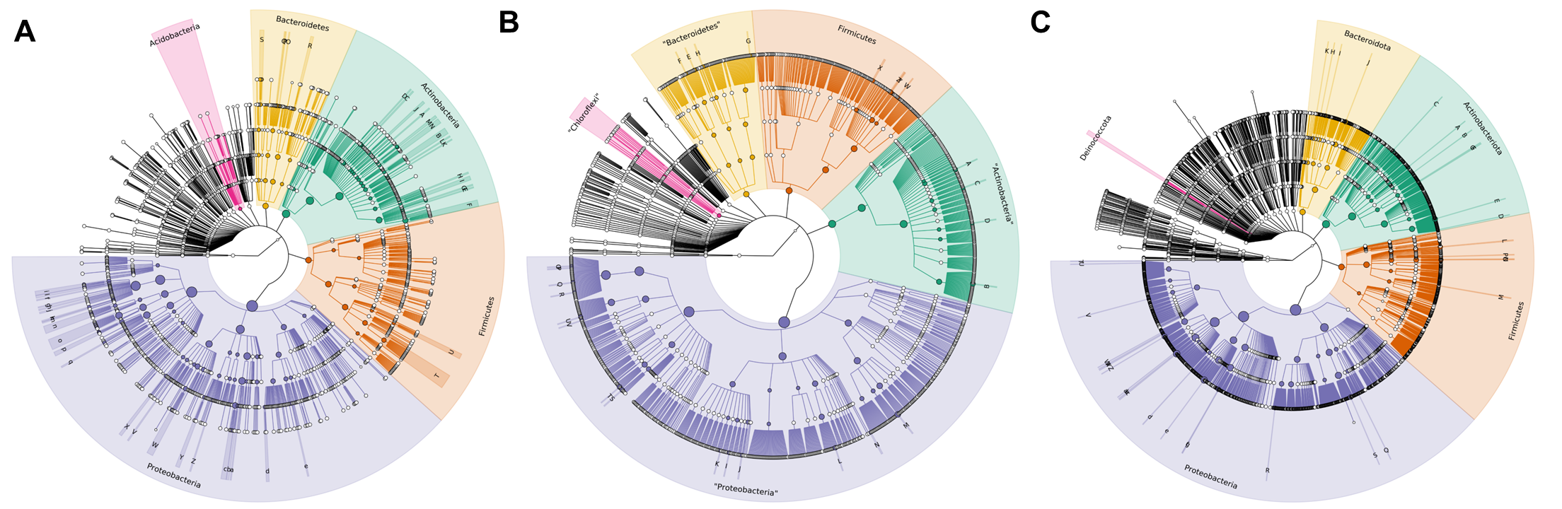 Dendograms of all the three databases together to compare them. A corresponds to Greengenes, B to RDP, and C to Silva